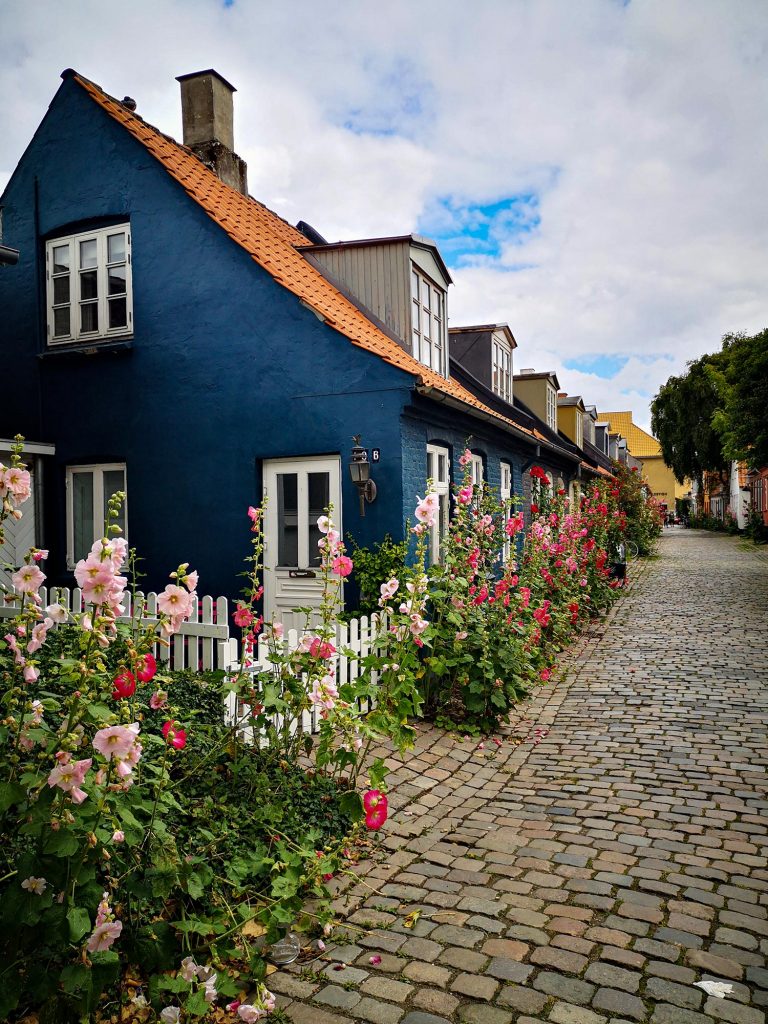 Rangée de maison bleue avec un chemin pavé dans un village au Danemark