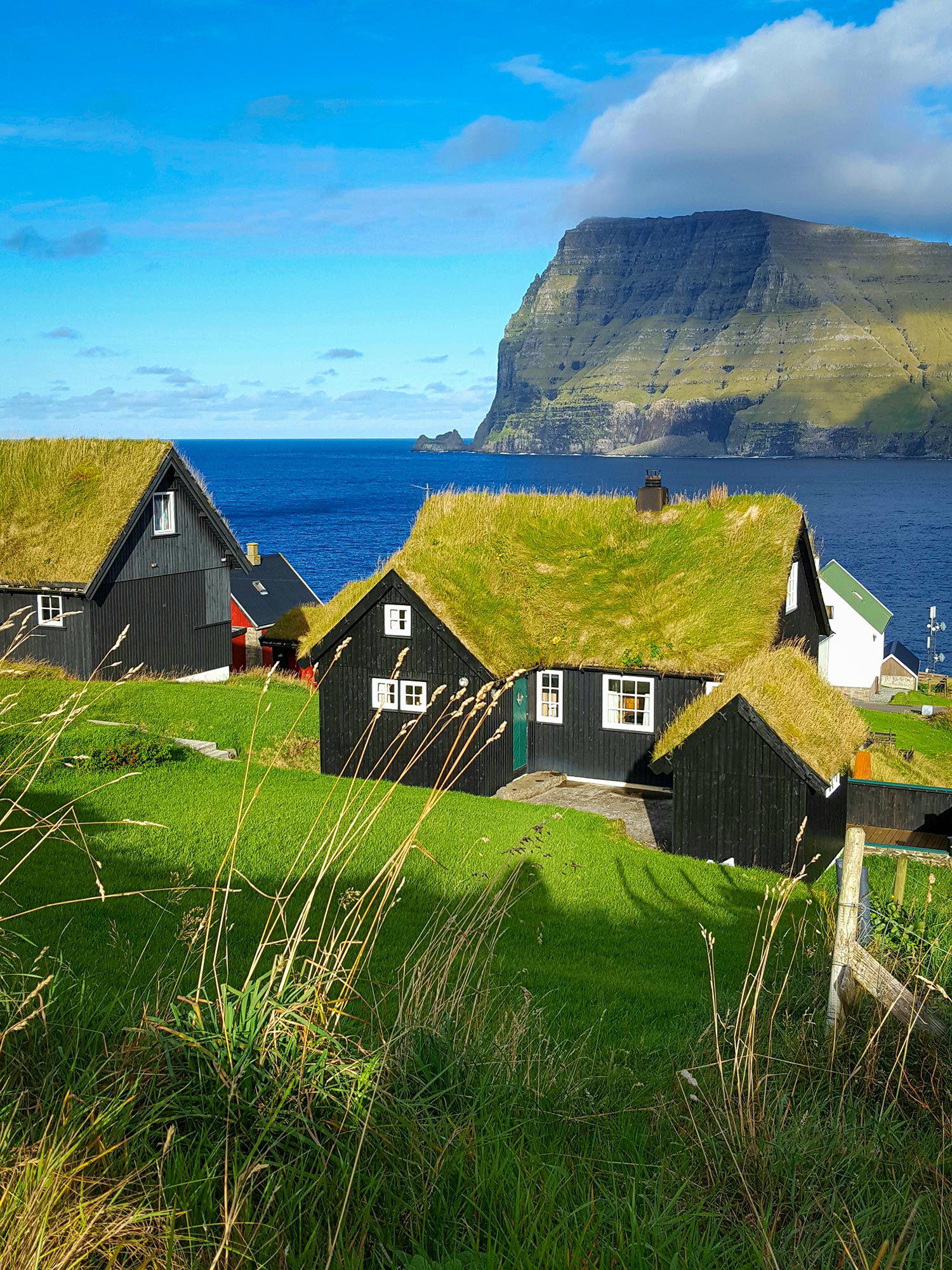 Des maisons avec de l'herbe sur le toit du village de Mikladalur au bord de mer avec les montagnes en arrière plan aux îles Féroé